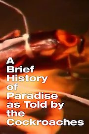 A Brief History of Paradise as Told by the Cockroaches