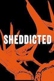 Sheddicted