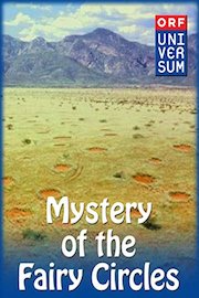 Mystery of the Fairy Circles