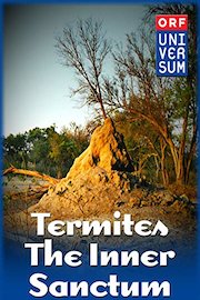 Termites - The Inner Sanctum
