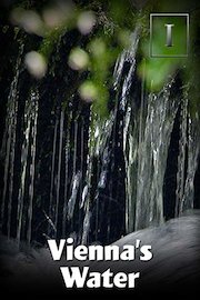 Vienna's Water