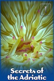 Secrets of the Adriatic