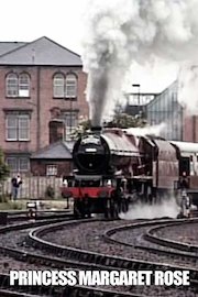 Princess Margaret Rose