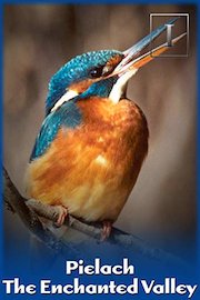 Pielach - The Enchanted Valley