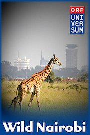 Wild Nairobi