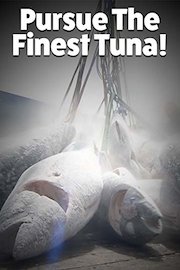 Pursue The Finest Tuna!