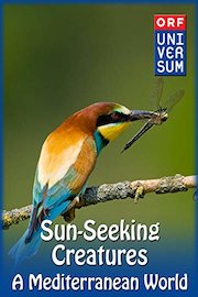 Sun-Seeking Creatures - A Mediterranean World