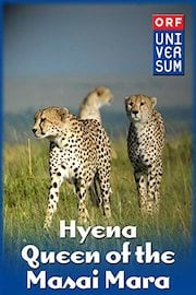 Hyena - Queen of the Masai Mara