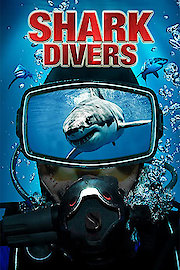 Shark Divers