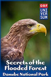 Secrets of the Flooded Forest - Danube National Park