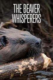 The Beaver Whisperers
