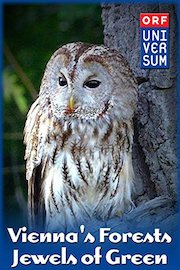 Vienna's Forests - Jewels of Green