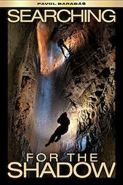 Searching for the Shadow