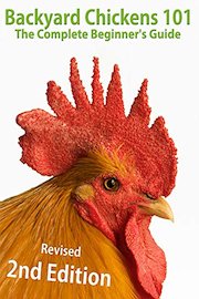 Backyard Chickens 101: The Complete Beginner's Guide - Revised 2nd Edition