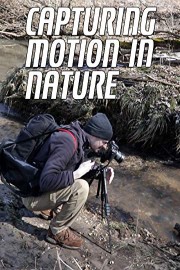 Capturing Motion In Nature