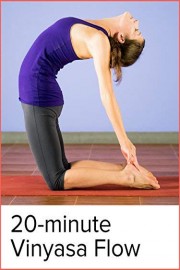 Balanced 20-minute Vinyasa Flow