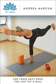 For Those Days When You Just Hit A Wall