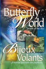 Butterfly World - Jewels Of The Sky
