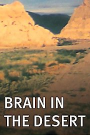 Brain in the Desert