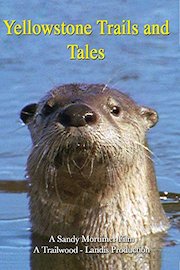 Yellowstone - Trails and Tails