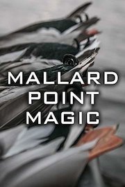 Mallard Point Magic