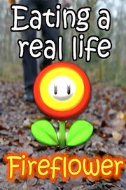 Eating a real life fireflower!