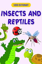 Insects & Reptiles - Video Dictionary
