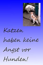 Katzen haben keine Angst vor Hunden/Cats don't fear dogs