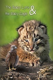 The Baby Lynx & The Baby Eagle