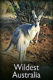 Wildest Australia
