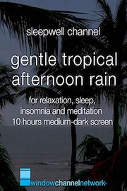 Gentle Tropical Afternoon Rain for relaxation, sleep, insomnia and meditation 10 hours medium-dark screen