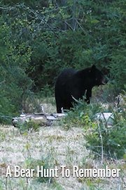 A Bear Hunt To Remember