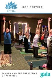 Bandha and the Energetics of Practice