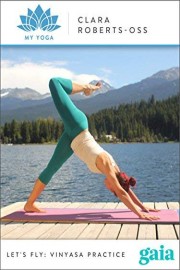 Let's Fly: Vinyasa Practice
