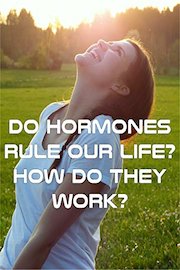 Do Hormones Rule Our Life? How Do They Work?