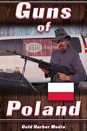 Guns of Poland