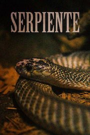 Serpiente