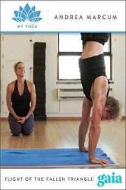 Flight Of The Fallen Triangle