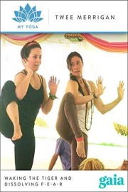 Waking the Tiger and Dissolving F-E-A-R