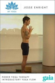 Power Yoga Therapy Introductory Yoga Flow