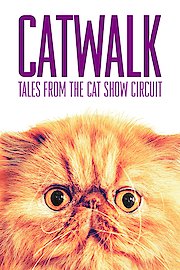 Catwalk: Tales from the Cat Show Circuit