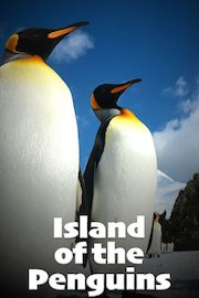 Island of the Penguins