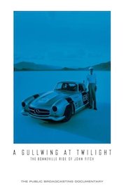 A Gullwing at Twilight