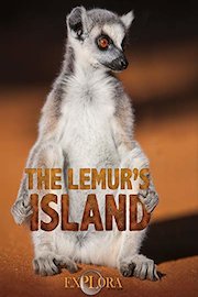 The Lemur's Island