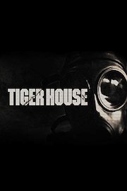 The Tiger House