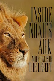 Inside Noah's Ark: More Tales of the Desert