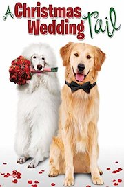 A Christmas Wedding Tail [Español]