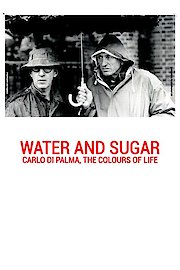 Water & Sugar: Carlo Di Palma, the Colours of Life