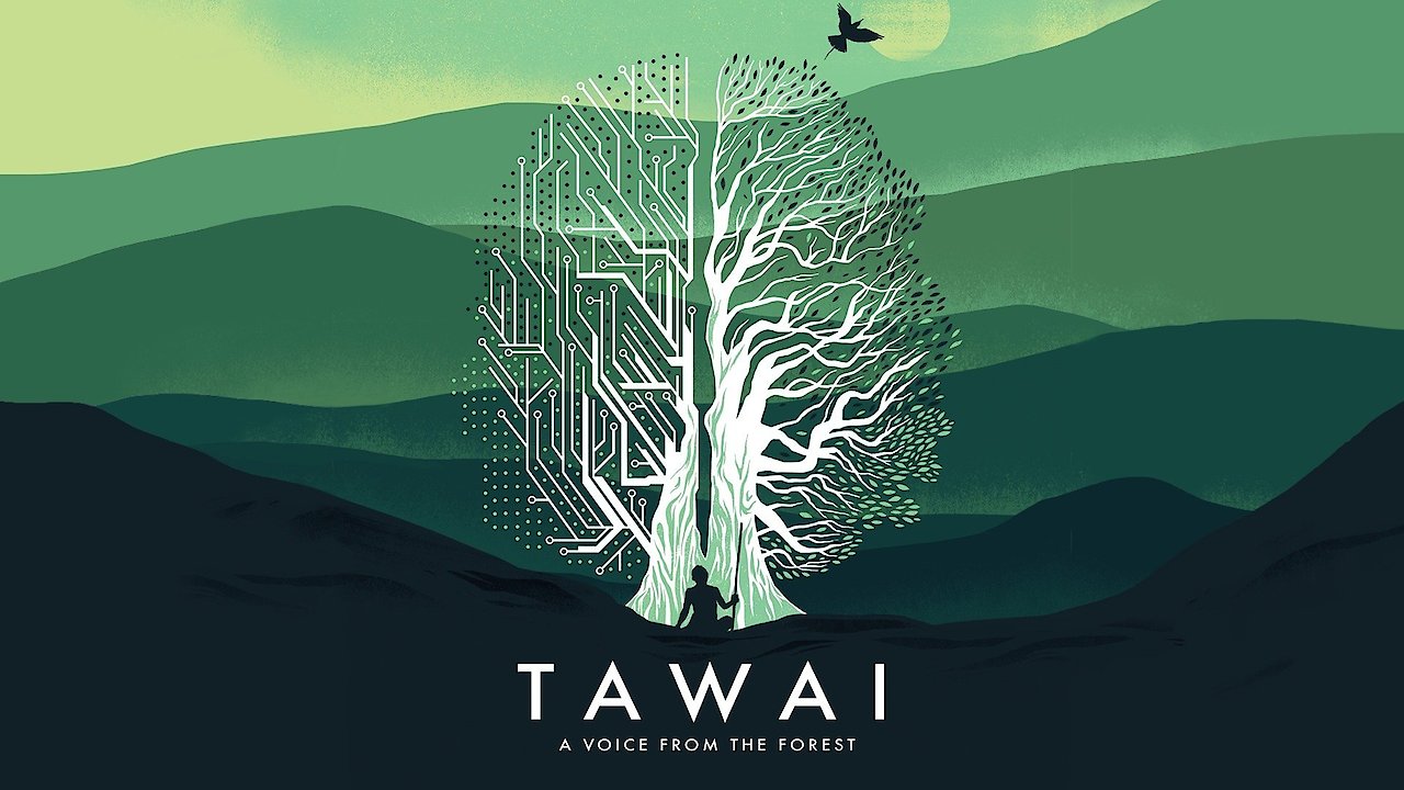 Tawai: A Voice From the Forest