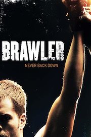 Brawler